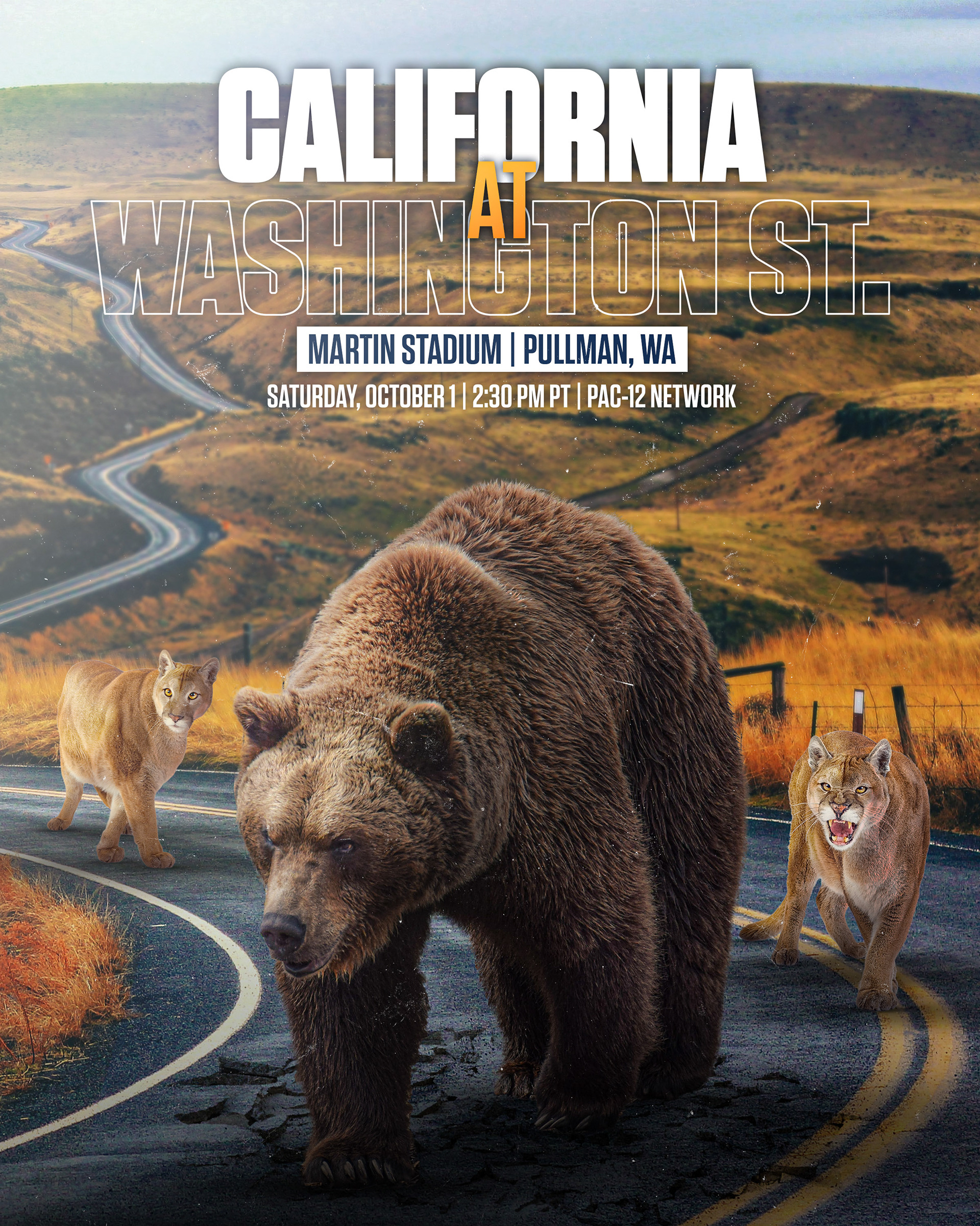 Cal vs Washington State Game Poster 2022