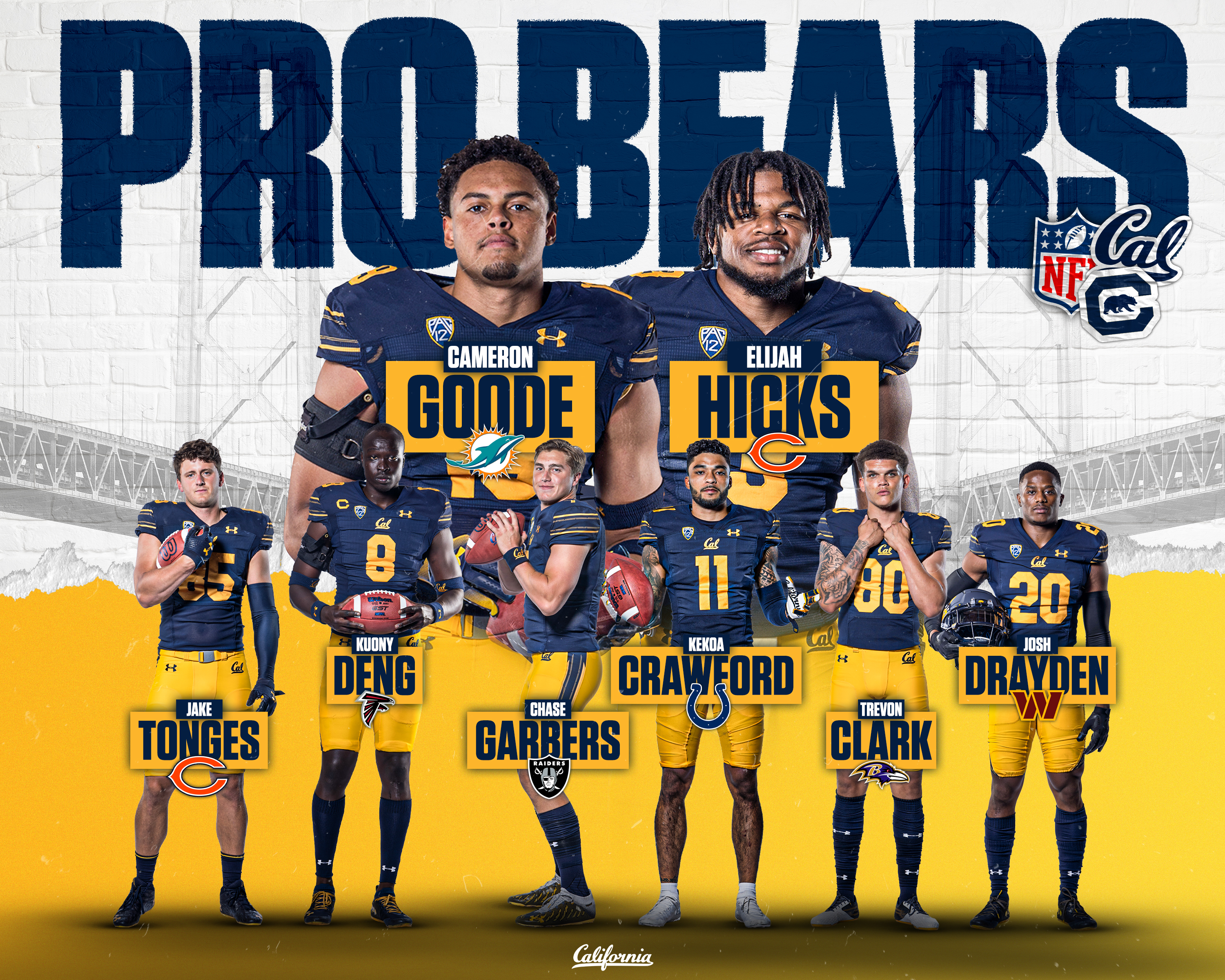 Cal Pro Bears Web Graphic 2022